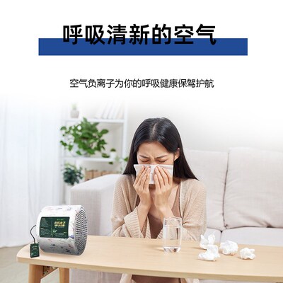小粒径负离子空气净化器无臭氧生态家用纯负离子发生器除甲醛清新