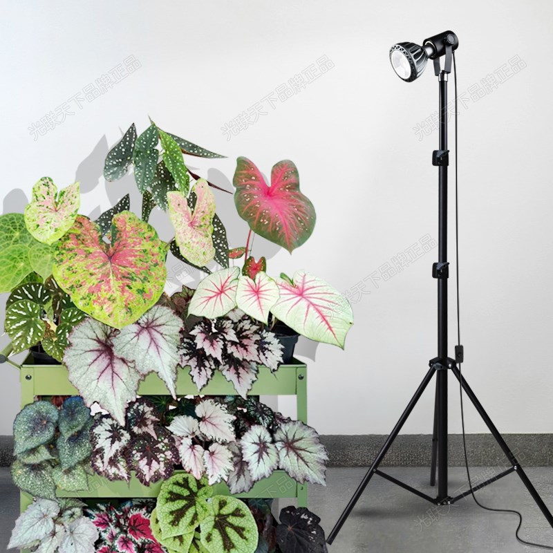 光联天下植物补光落地灯三角支架款内室盆景绿植热植生长灯全光谱