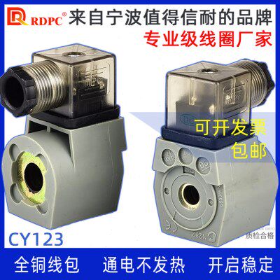 RDPC原装高原型脉冲电磁阀圆线圈全黄铜线包CY123接线头DMF DC24V
