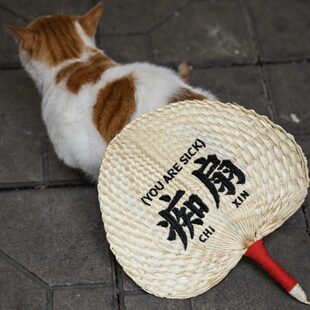 粤语痴扇蒲扇手摇葵扇夏季老式纯手工编织便携芭蕉扇刺绣国风极凯