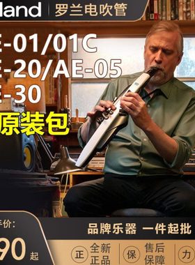 罗兰电吹管 AE20 AE30 AE-05 AE-01 电吹管萨克斯罗兰电吹管
