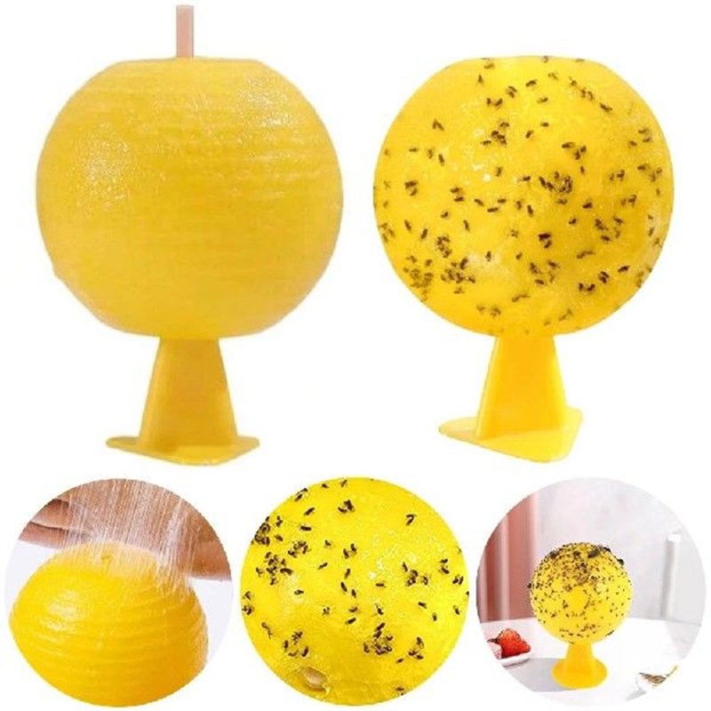 Fruit Fly Traps Sticky vFruit Fly Trap Ball Citrus Shaped