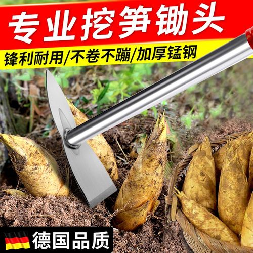 专业挖笋神器挖冬笋专用锄头锰钢镐锄种菜种花小锄头老式农用工具