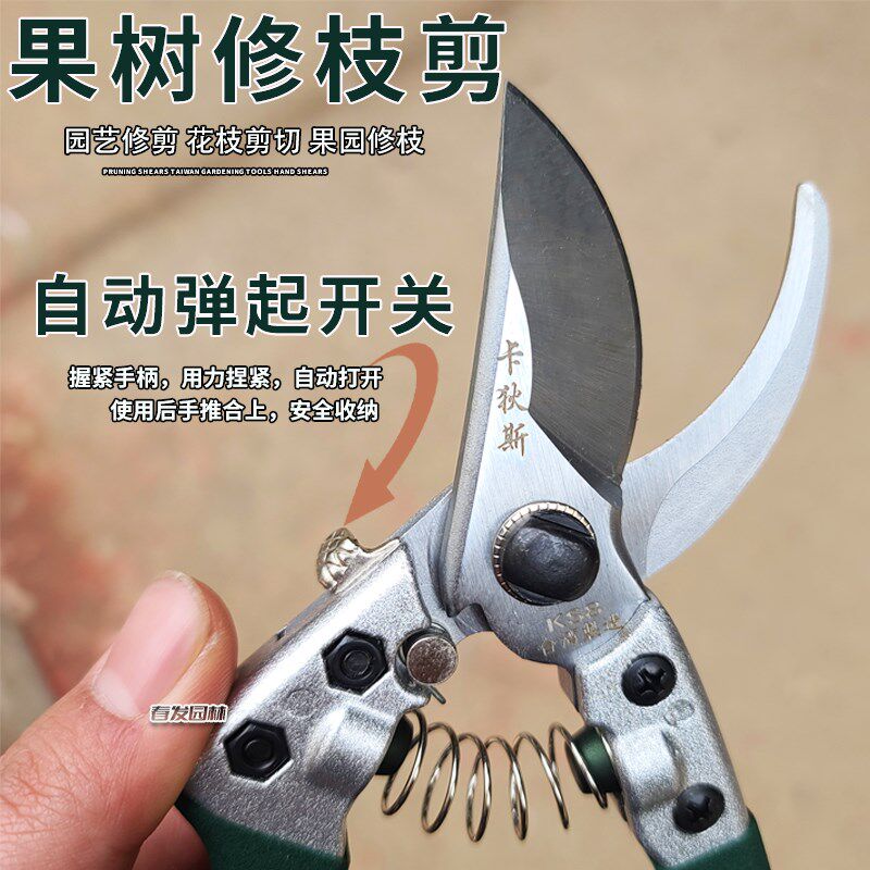 台湾修枝剪果树剪刀树枝园艺剪修花工具修果N树果园园林修剪粗枝