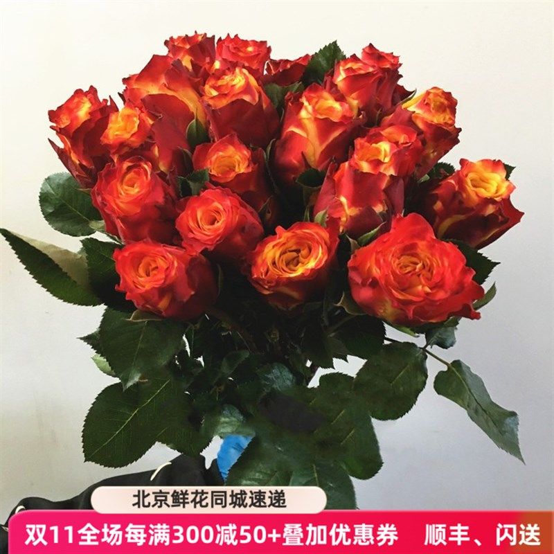 新鲜国产火焰玫瑰  大头粗杆花期长 家庭水养花 办V公室周花好心