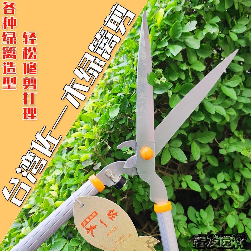 台湾大平剪修枝剪修o枝大剪刀篱笆剪绿篱剪园林剪花草剪神器果园