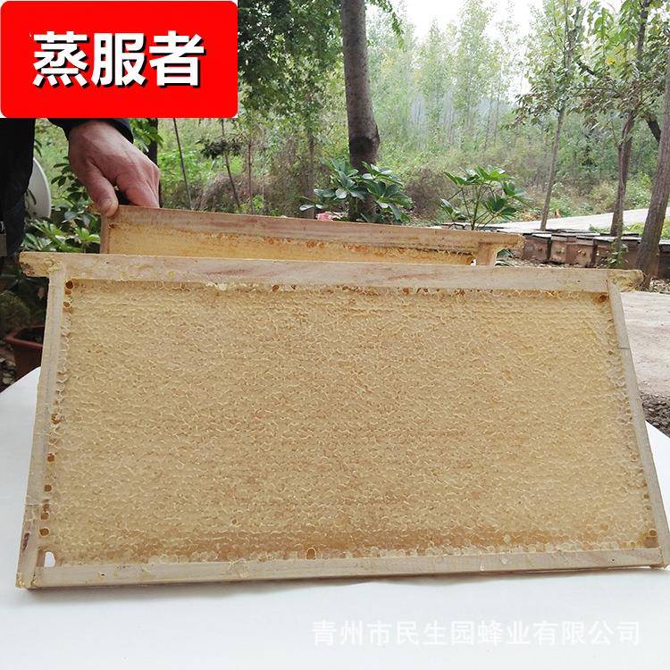整张蜂巢蜜原框蜂巢蜜板蜜酒店蜂巢蜜木框蜂蜜酒店带框展示架礼品