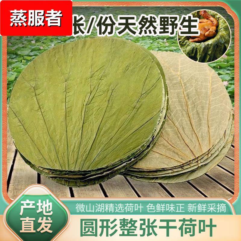 荷叶糯米鸡专用荷叶大号荷叶整张微山湖圆形整张荷叶14*100张包