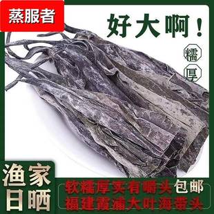 50公分长海带头干货霞浦特厚海带根梗凉拌酸辣无沙日晒