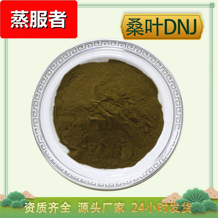 桑叶DNJ 2% 桑叶多糖 桑其它新食品原料类