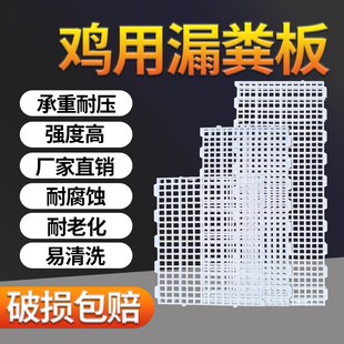 鸡粪漏粪板鸡笼脚垫塑料家禽鸭鹅漏屎板漏粪网板鸡舍养鸡用漏粪板