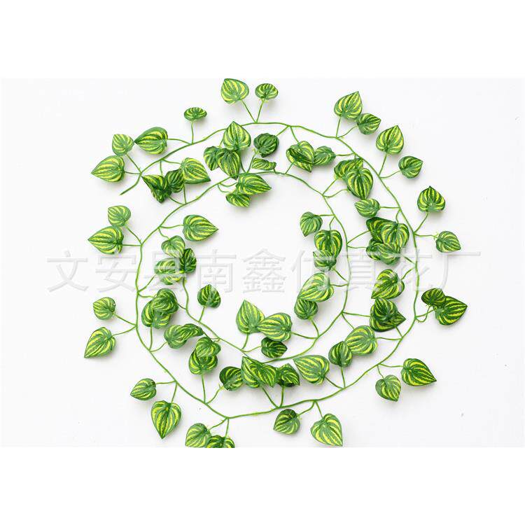 仿真藤条叶子绿萝葡萄叶绿藤花藤植物假绿植装饰爬山虎假花藤蔓