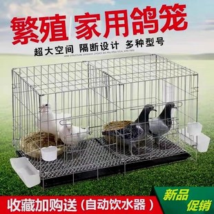 鸽子笼家用养殖笼鸽子配r对笼大号鸽子笼家用带隔断繁殖养殖鸽笼