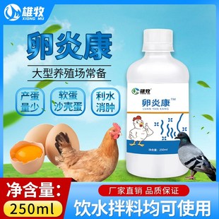 蛋禽卵炎康禽用鸽子鸡鸭输卵管炎鸽子蛋畸形蛋沙S壳蛋卵黄性腹膜