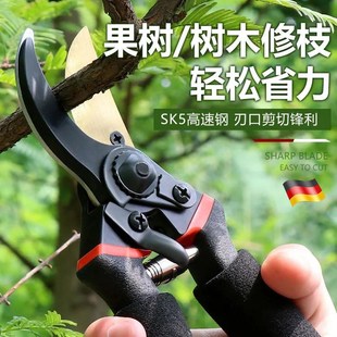 德国园艺剪刀修剪树枝专用剪x刀修枝剪园林果树修花神器家用粗枝