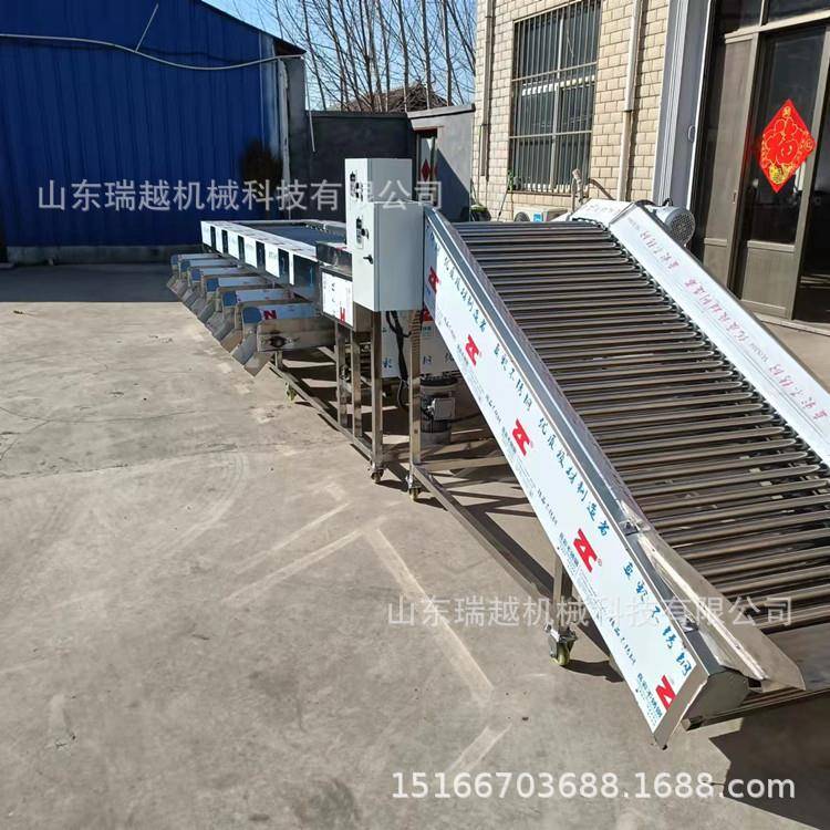 大型灰枣分级机商用滚杠式新疆大枣选枣机小型土豆大蒜分选机