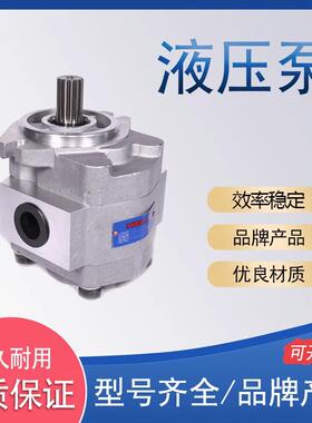 液压齿轮油泵CBKa-G4系列液压油泵合肥液压齿轮泵