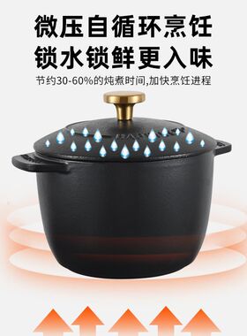 铸铁珐琅锅汤焖烧锅涂层粘锅迷你饭釜锅煮面煮粥锅