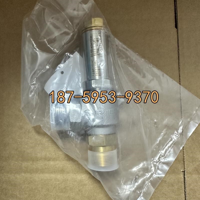 上海百图 D22F-P D21F液氮液氧LNG低温安全DH-10 15