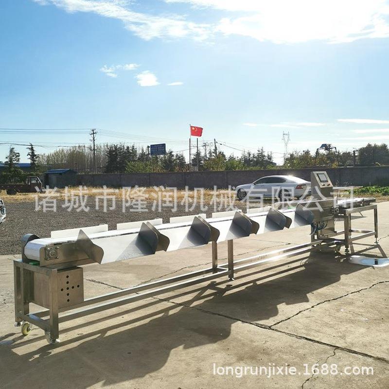 厂家供货全自动皮带式带鱼鲅鱼分选机 活鱼动态检重秤多规格分拣
