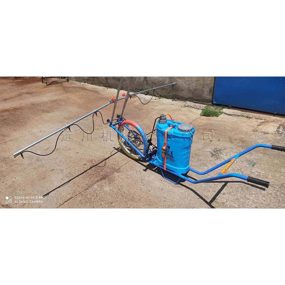 手推打药机 园林果树农用消毒机 电动喷药机,农机/农具/农膜,植保机械,淘宝优惠券,粉丝福利购,淘宝优惠卷