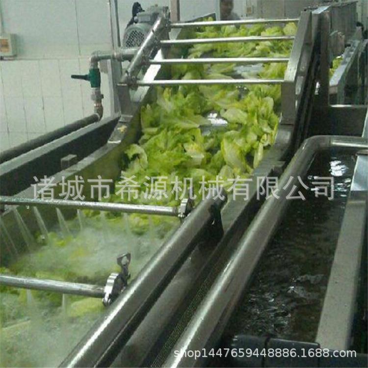 叶菜全套清洗线 苹果香梨猕猴桃气泡清洗机 酱腌菜清洗去盐设备
