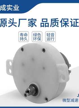 JS50微型直流减速电机12V洗衣机清洁仪电机搅拌器手跳绳机马达