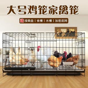 鸡笼子家用大号特大自家养鸡笼自动清粪大型加密养殖笼鸭笼铁丝网