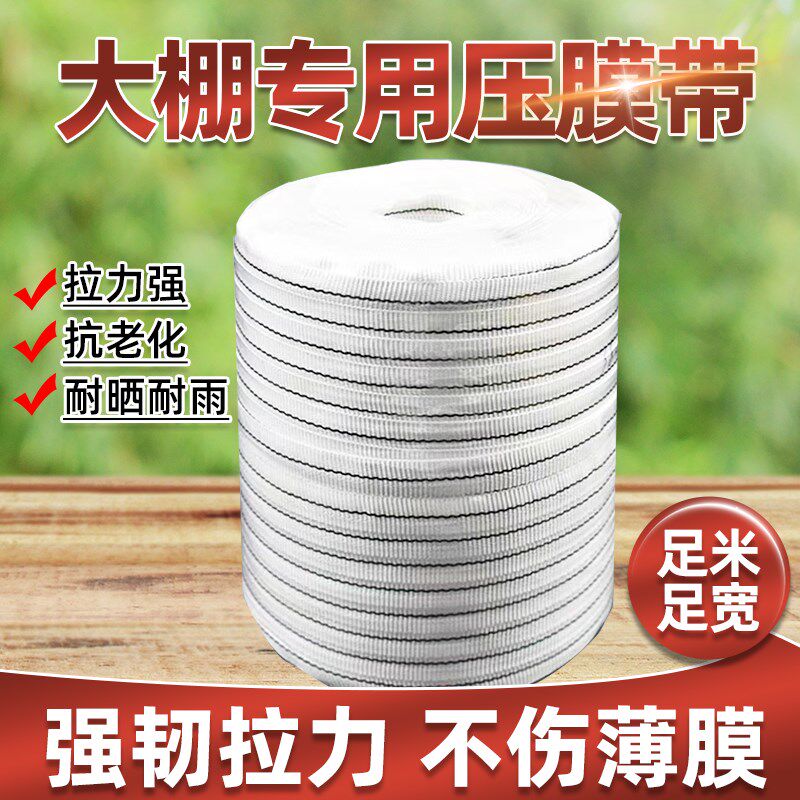 大棚专用压膜带绳子压棚绳温室大棚压膜线捆绑绳R子扁带白色加厚