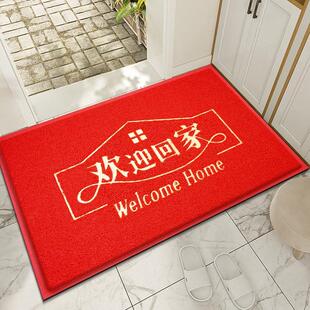 地垫入户门垫家用塑料pvc丝圈垫子可擦免洗脚垫门口防水防滑地毯