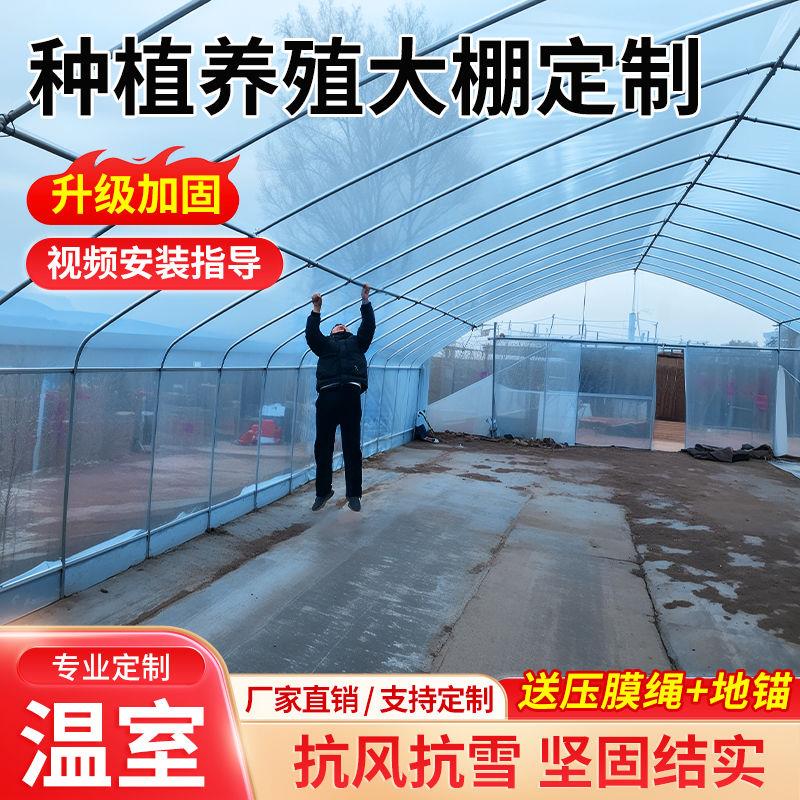 种植大棚全套大棚骨架养殖大棚鸡棚养猪棚蔬菜大棚花卉棚温室大棚