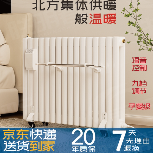 胜明春加水电暖气家用省电取暖器