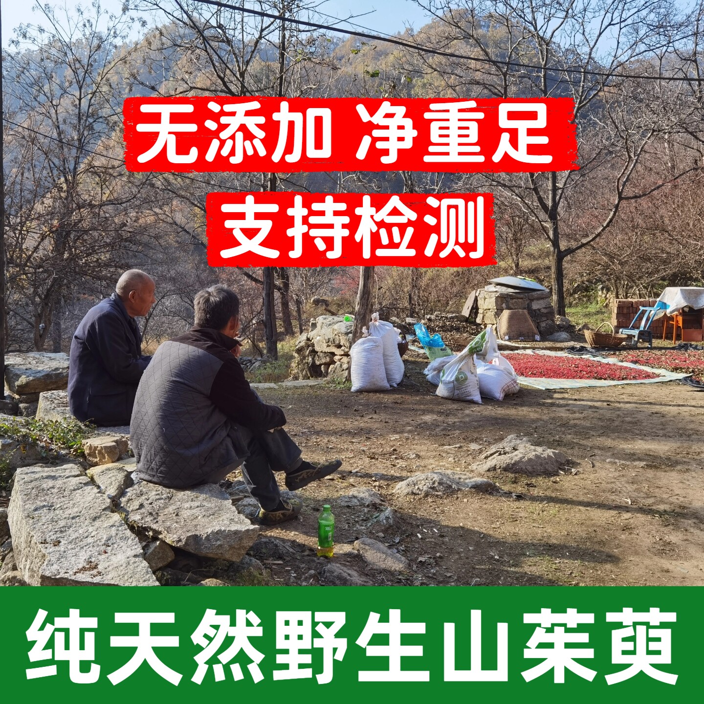 山茱萸野生中药材山萸肉河南西峡伏牛山正品泡茶无硫药用山茱萸肉