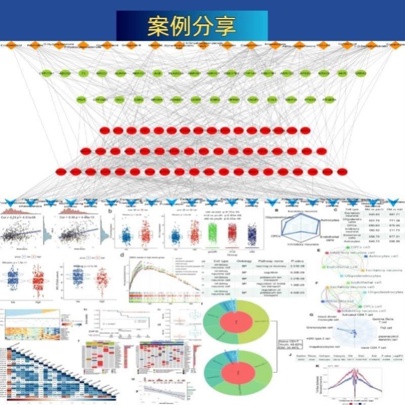 孟德尔随机化 生信分析单细胞转录组多组学测序实验挖掘  5-9分