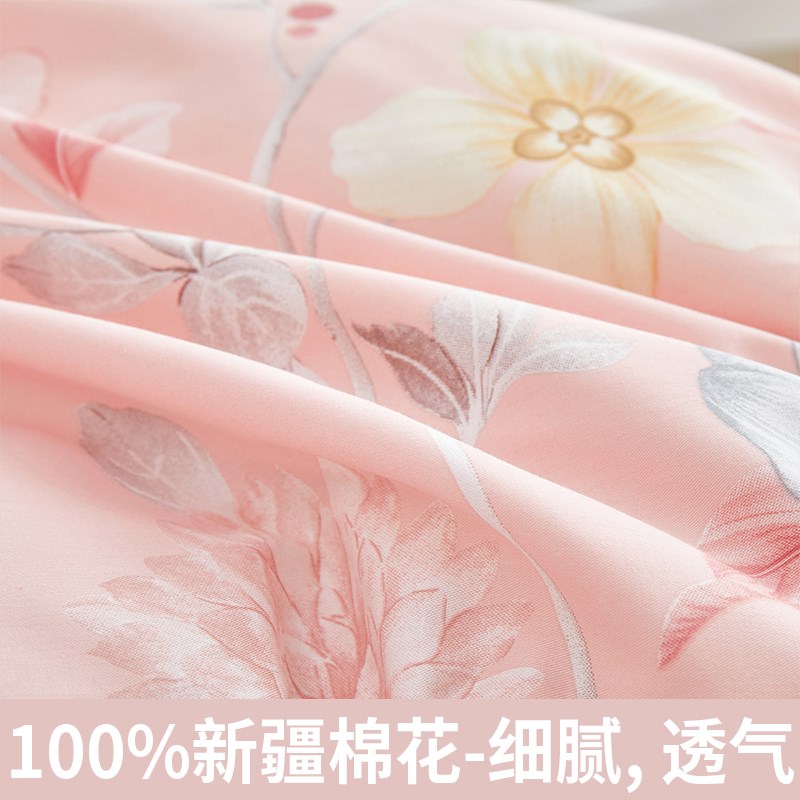 枕套成人家用100全棉枕头套大人48x74枕芯内胆套2024新款一对