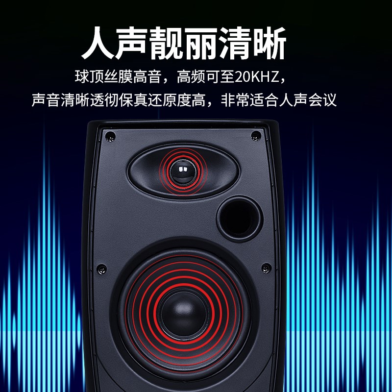聆语会议室音响套装小型会议室音箱教室演讲室培训室壁挂音箱