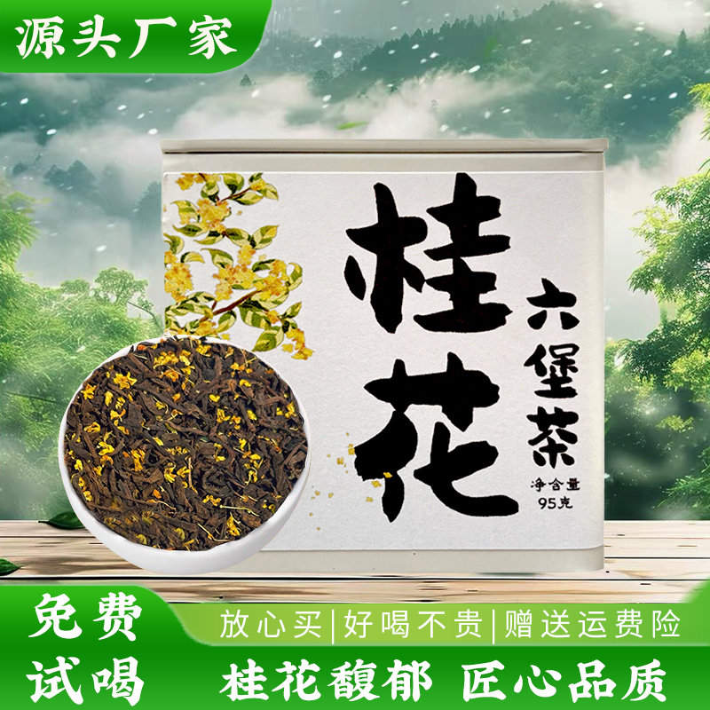 广西梧州桂花六堡茶95g罐装