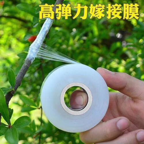 免拆自粘嫁接膜果树保温拉伸
