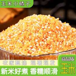 新货农家自产新玉米渣5斤中号苞米碎糁五谷杂粮煮粥原料碴馇粥大