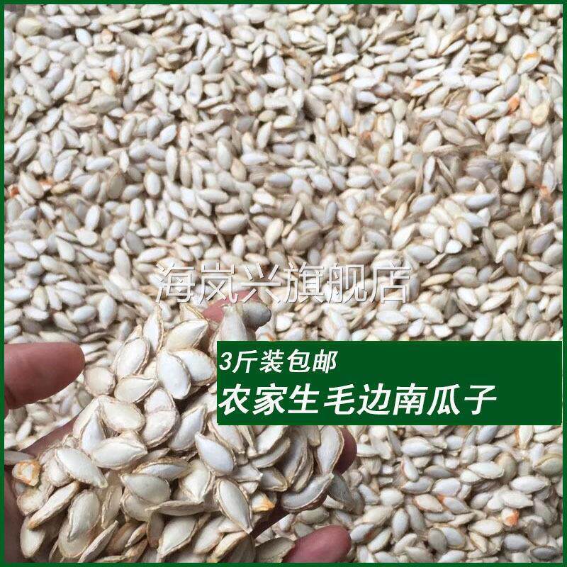 新货老品种毛边生南瓜子农