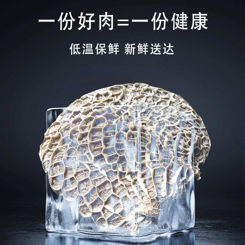新货3斤新鲜生金钱肚 牛草肚 蜂窝肚 新鲜牛肚 毛肚 大肚牛胃顺丰