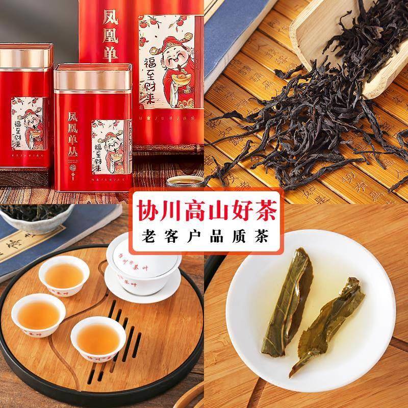 【茶香陪伴】蜜兰香单丛茶广东潮州乌岽单枞茶凤凰单丛凤凰山乌崇