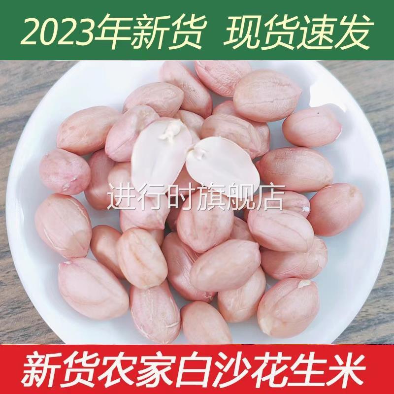 2023年新花生米山东新货白沙大颗粒农家特产生红皮红衣花生仁榨油