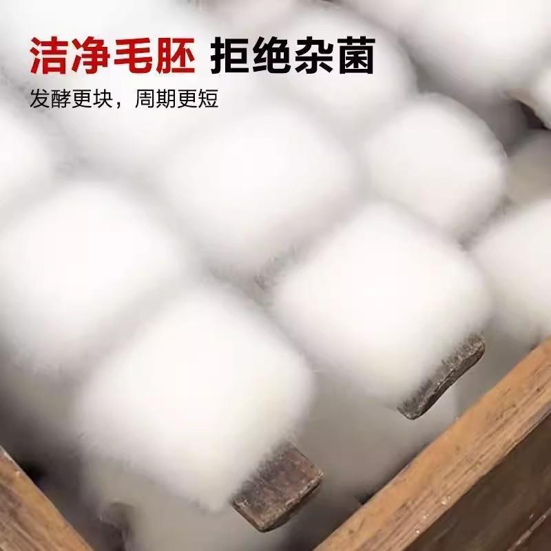 腐乳曲粉霉豆腐腐乳曲自制白毛豆腐发酵菌臭豆腐腐乳曲腐乳发酵曲