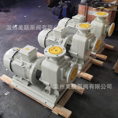 200ZXL400-32直连式自吸泵 铸铁304不锈钢自吸泵 直联自吸泵