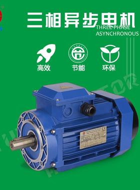 雨田电机250瓦油雾净化器机械设备电机,YE26334立式B5B14减速机