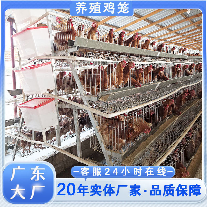 出口广东鸡笼厂家跨境鸡舍食槽架外贸公司蛋鸡笼鸡笼子鸽子笼热销