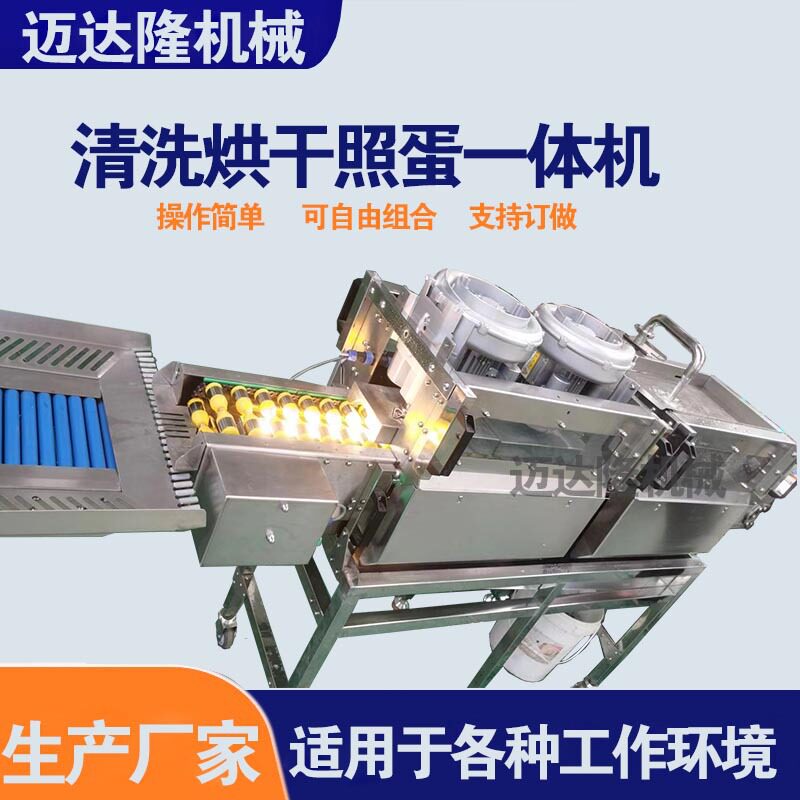 商用不锈钢鲜蛋泥蛋清洗机