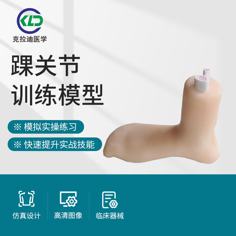 厂家直销人体关节教学模拟模具