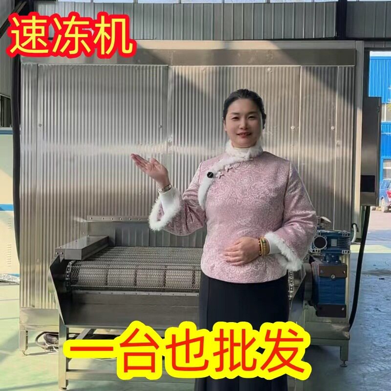 旺源批发隧道式速冻机 栗子流态化冷冻线 土豆粉冷冻加工生产设备